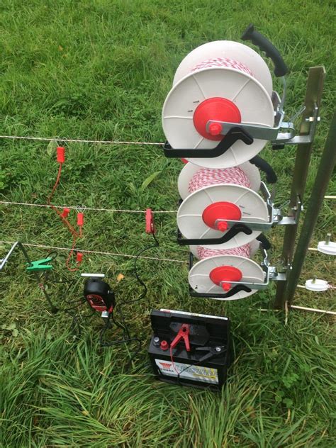 temporary electric fence for sheep